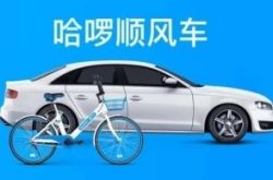 【9分钟教程】合肥公司咨询服务电话_哔哩哔哩-2
